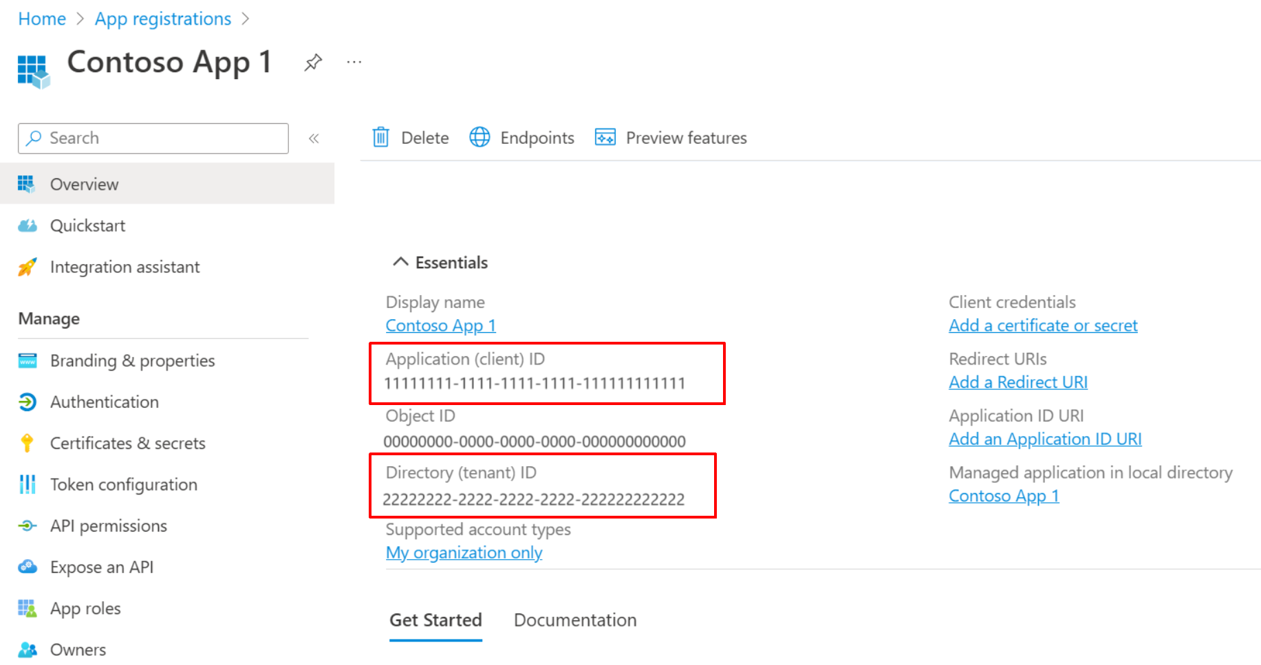 Azure App Registration details with Client and Tenant IDs